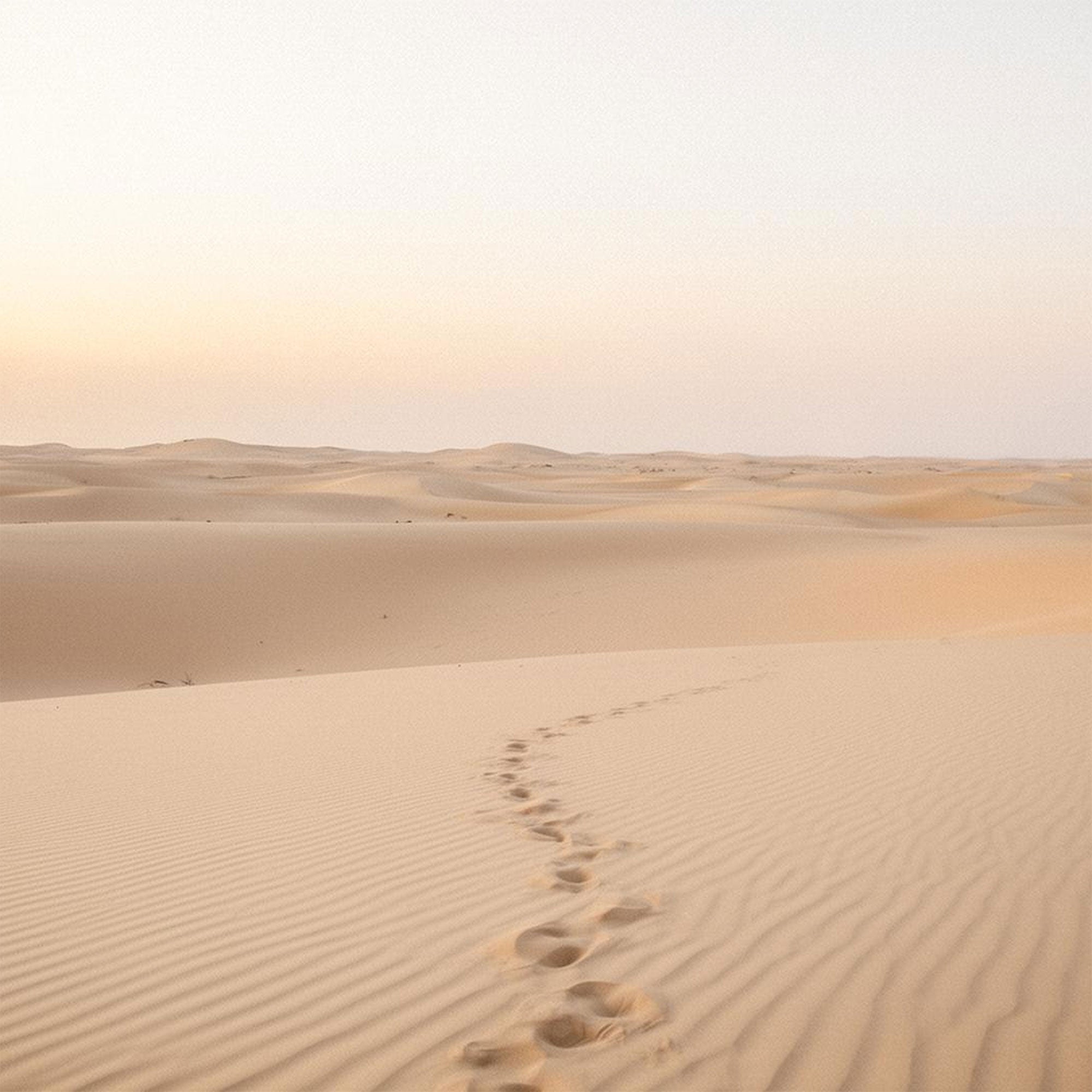 BORN IN THE UAE: TRIBUTE TO 54
